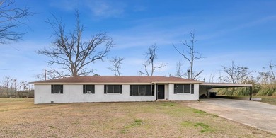 (private lake, pond, coastal) Home For Sale in Dothan Alabama