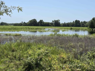 (private lake, pond, creek) Acreage For Sale in Alba Texas