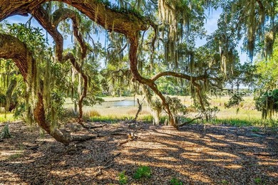 Welcome to your own private Lowcountry retreat in Salem Point - photo 3