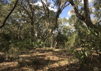 Tsala Apopka Chain of Lakes Lot For Sale in Inverness Florida