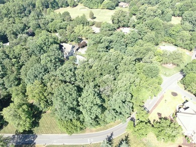 This beautiful large wooded lot is located in a desirable - photo 11