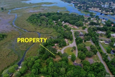 Lake Henderson Lot For Sale in Inverness Florida