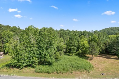 (private lake, pond, creek) Lot For Sale in Harriman Tennessee