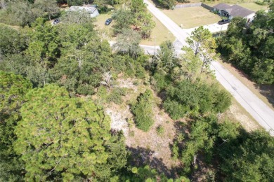 Lake Rousseau Lot For Sale in Dunnellon Florida