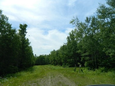 Lake Acreage For Sale in Winter, Wisconsin