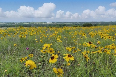 Incredible opportunity to own 292 acres of prime real estate in - photo 3