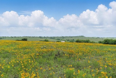 Incredible opportunity to own 292 acres of prime real estate in - photo 10