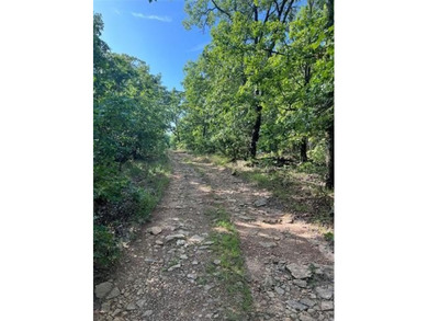In the middle of Sequoyah County sits one of the best 50+/- - photo 1