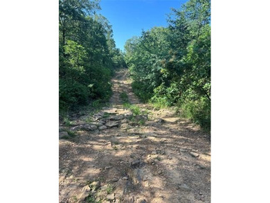 In the middle of Sequoyah County sits one of the best 50+/- - photo 3