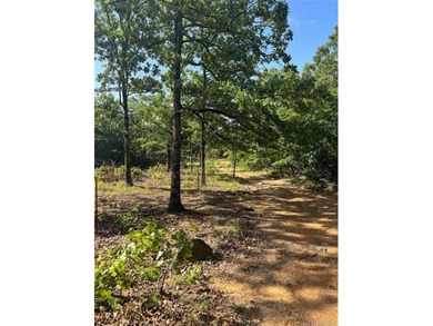 In the middle of Sequoyah County sits one of the best 50+/- - photo 4