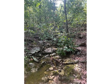 In the middle of Sequoyah County sits one of the best 50+/- - photo 5