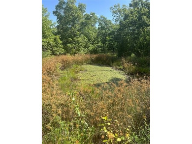 In the middle of Sequoyah County sits one of the best 50+/- - photo 6
