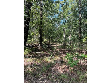 In the middle of Sequoyah County sits one of the best 50+/- - photo 7