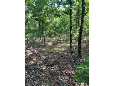 In the middle of Sequoyah County sits one of the best 50+/- - photo 10