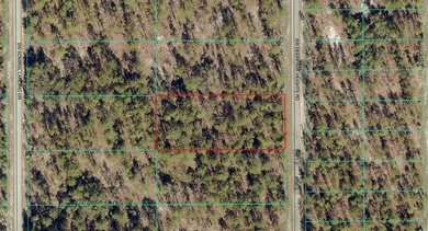 Bonable Lake Lot For Sale in Dunnellon Florida
