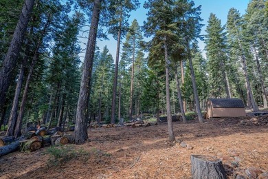 Nestled among the trees in the heart of Carnelian Bay, this - photo 16