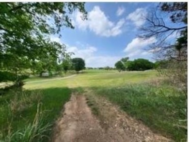 Lake Lot For Sale in Whitney, Texas