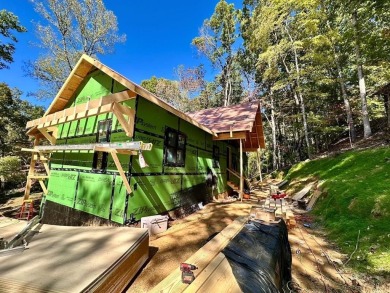 Lake Home For Sale in Morganton, Georgia