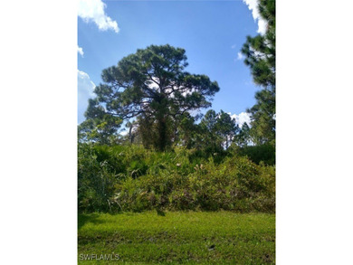 Port Charlotte Waterway Lakes Area Lot For Sale in Port Charlotte Florida