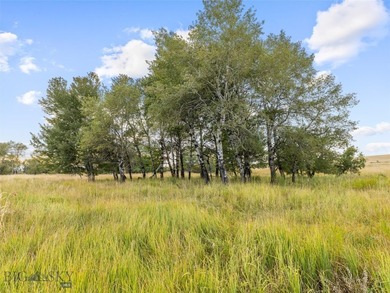 Rare Opportunity to Own Live Water in the Heart of Montana's - photo 12