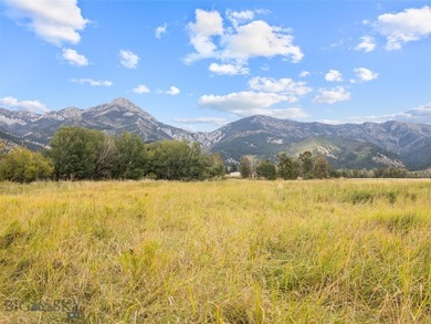 Rare Opportunity to Own Live Water in the Heart of Montana's - photo 13