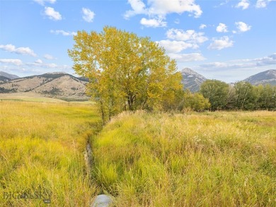 Rare Opportunity to Own Live Water in the Heart of Montana's - photo 16