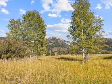 Rare Opportunity to Own Live Water in the Heart of Montana's - photo 29