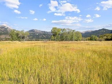 Rare Opportunity to Own Live Water in the Heart of Montana's - photo 34