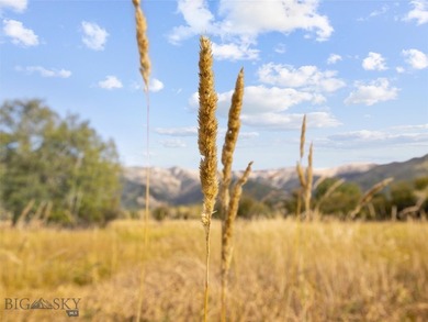 Rare Opportunity to Own Live Water in the Heart of Montana's - photo 39