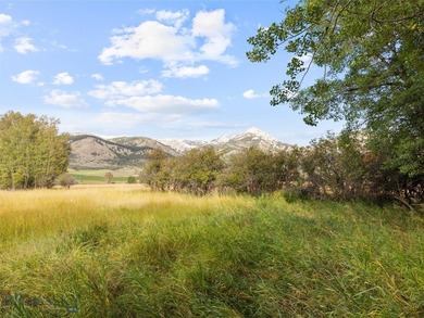 Rare Opportunity to Own Live Water in the Heart of Montana's - photo 41