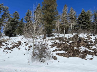 Monte Verde Lake Lot For Sale in Angel Fire New Mexico
