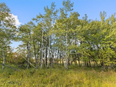 Rare Opportunity to Own Live Water in the Heart of Montana's - photo 44