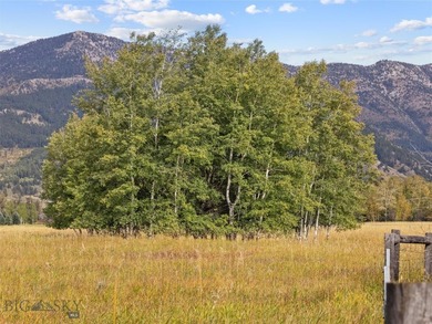 Rare Opportunity to Own Live Water in the Heart of Montana's - photo 46