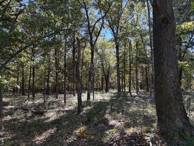 Table Rock Lake Lot For Sale in Reeds Spring Missouri