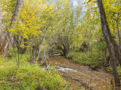 Rare Opportunity to Own Live Water in the Heart of Montana's - photo 52