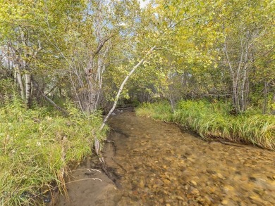 Rare Opportunity to Own Live Water in the Heart of Montana's - photo 53