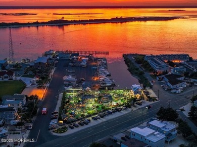 ntroducing Lighthouse Cove at Barnegat Light. More than one full - photo 1
