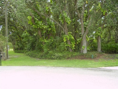 BUY THIS BEAUTIFUL 20,809 SQUARE FEET CUL-DE-SAC LOT WITH NO - photo 2