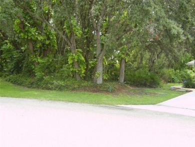 BUY THIS BEAUTIFUL 20,809 SQUARE FEET CUL-DE-SAC LOT WITH NO - photo 3