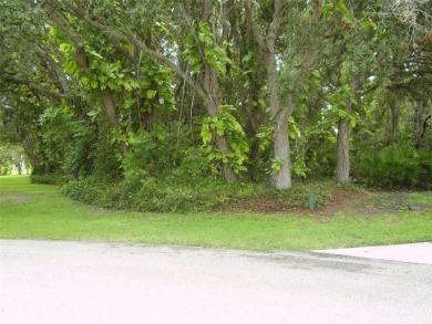 BUY THIS BEAUTIFUL 20,809 SQUARE FEET CUL-DE-SAC LOT WITH NO - photo 4
