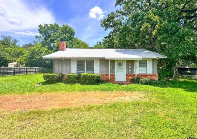 Lake Home For Sale in Frankston, Texas