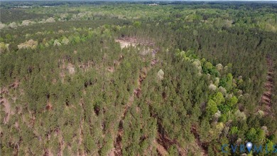 75.496 Acres on Winningham Rd in Rural Nottoway County. Property - photo 2
