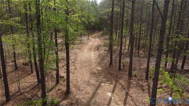75.496 Acres on Winningham Rd in Rural Nottoway County. Property - photo 3
