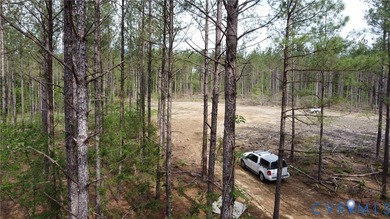 75.496 Acres on Winningham Rd in Rural Nottoway County. Property - photo 4