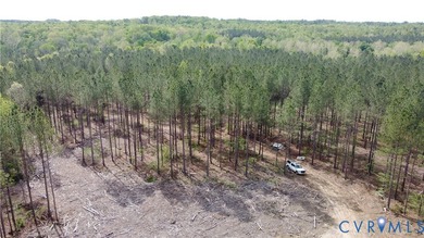 75.496 Acres on Winningham Rd in Rural Nottoway County. Property - photo 5
