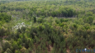 75.496 Acres on Winningham Rd in Rural Nottoway County. Property - photo 6