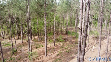 75.496 Acres on Winningham Rd in Rural Nottoway County. Property - photo 7