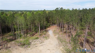 75.496 Acres on Winningham Rd in Rural Nottoway County. Property - photo 8