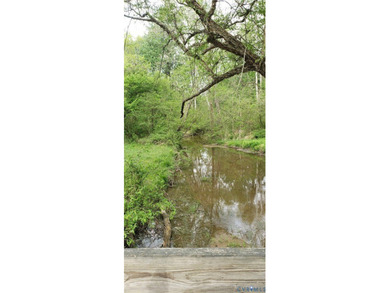 75.496 Acres on Winningham Rd in Rural Nottoway County. Property - photo 9