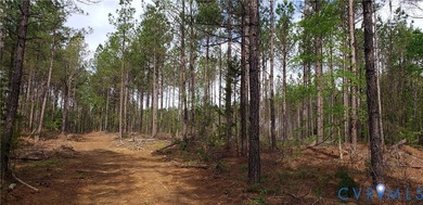 75.496 Acres on Winningham Rd in Rural Nottoway County. Property - photo 10